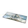 HD5535CN MOUSE PAD 300*700